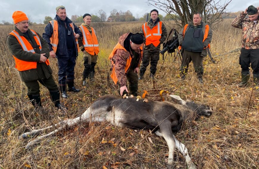 Сигнальний жилет на полюванні: забаганка чи необхідність?