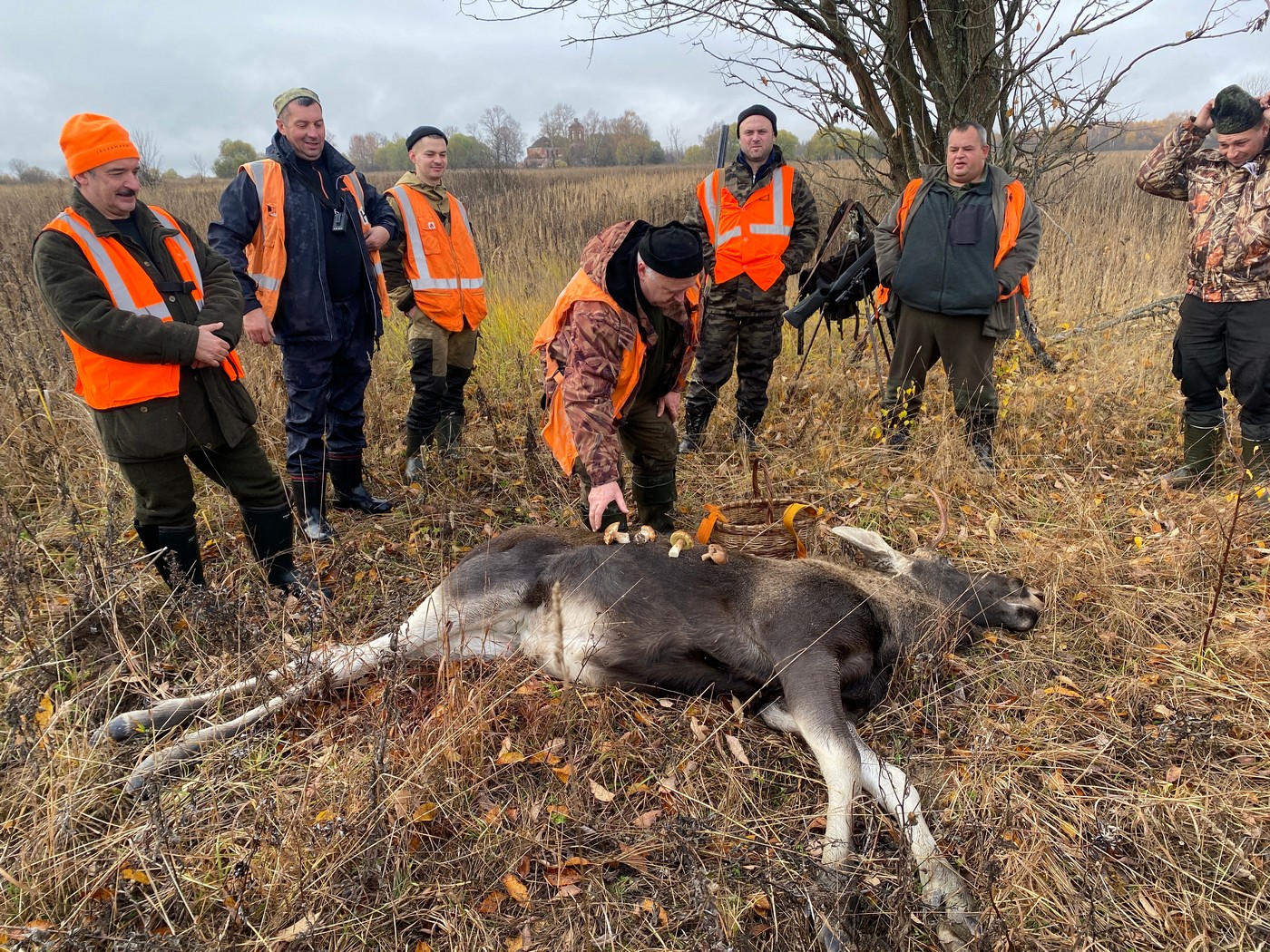 Сигнальний жилет на полюванні: забаганка чи необхідність?