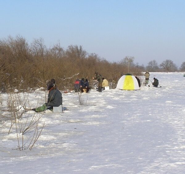 Зі своїм статутом