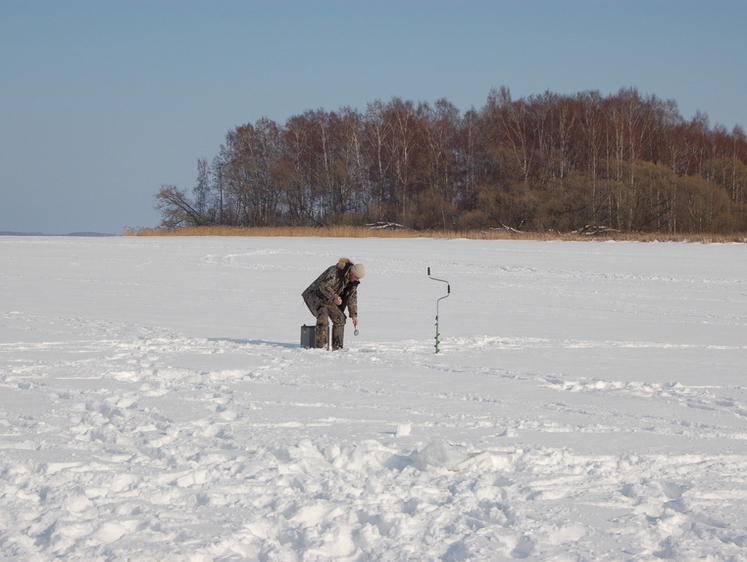 Зображення Зграйний окунь середини зими (початок)