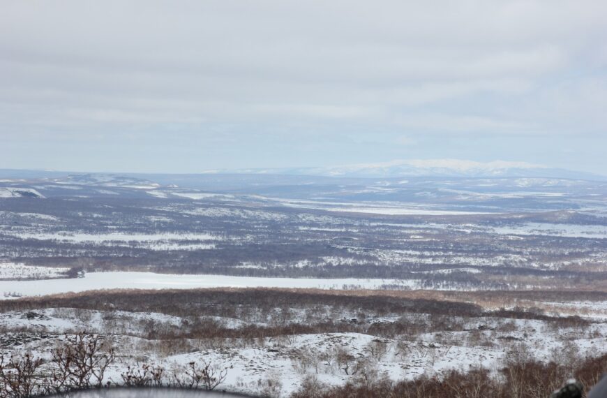Організація мисливського промислу у Тигільському держпромгоспі у 1970–1980-х роках