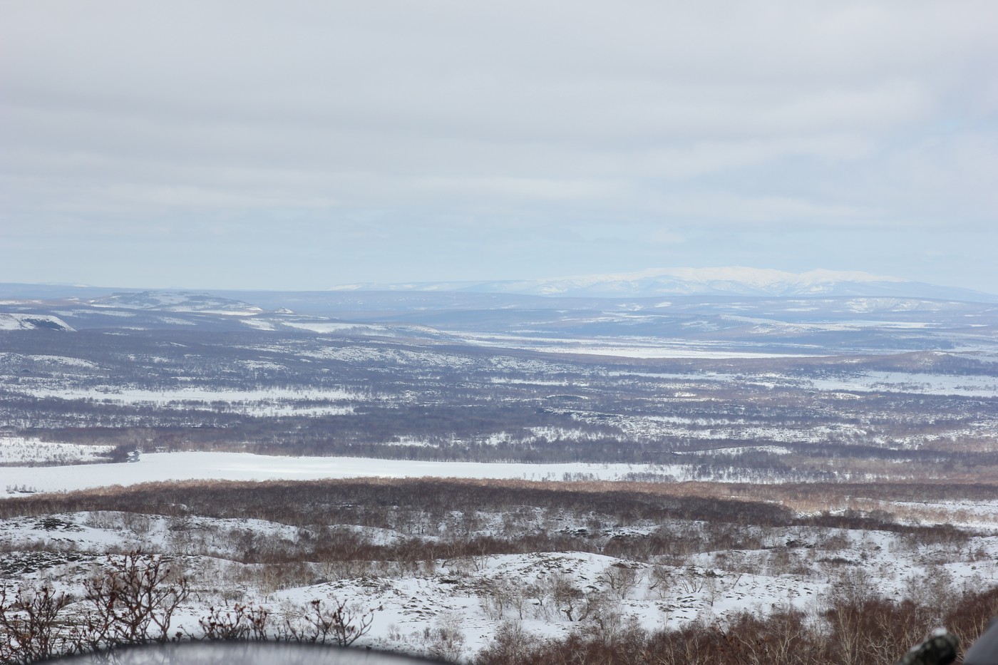 Організація мисливського промислу у Тигільському держпромгоспі у 1970–1980-х роках