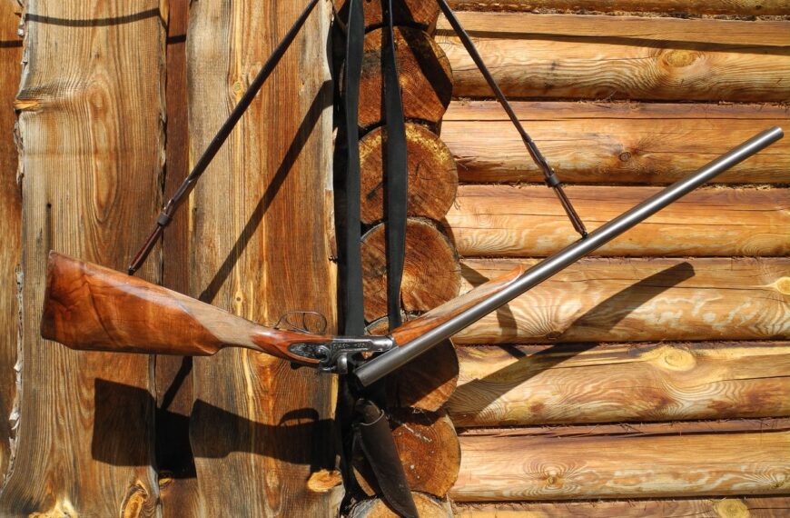 СРСР та зброя