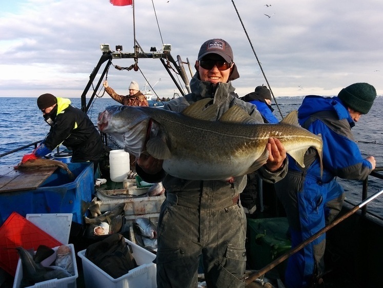 За трофейною тріскою