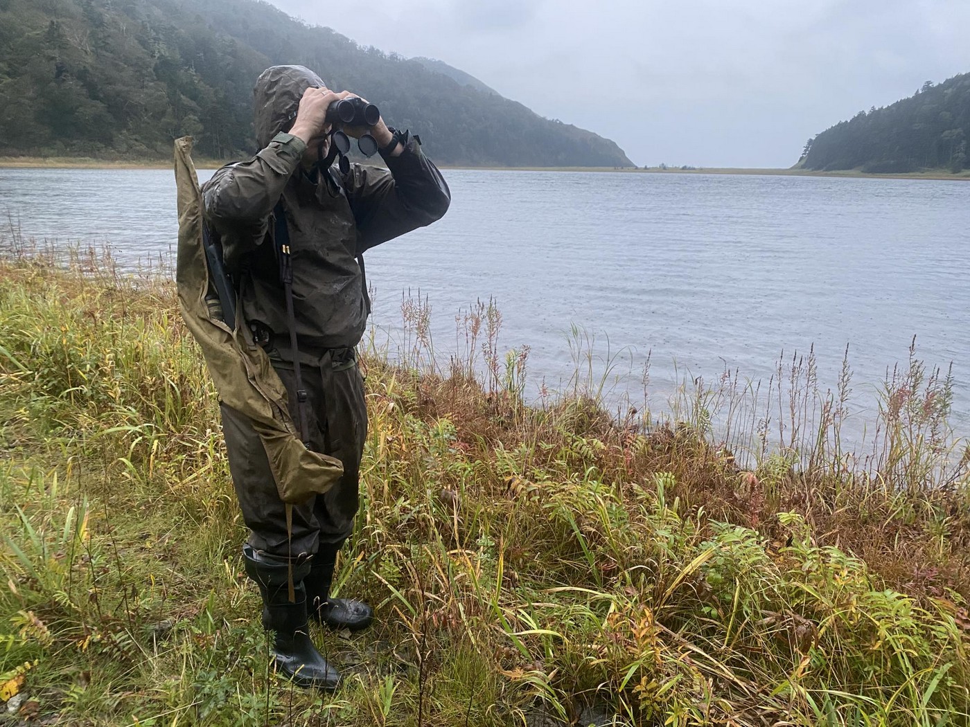 Ведмеді в бамбуку. Полювання на Південних Курилах