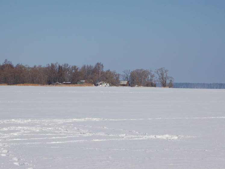 Зграйний окунь середини зими (продовження)