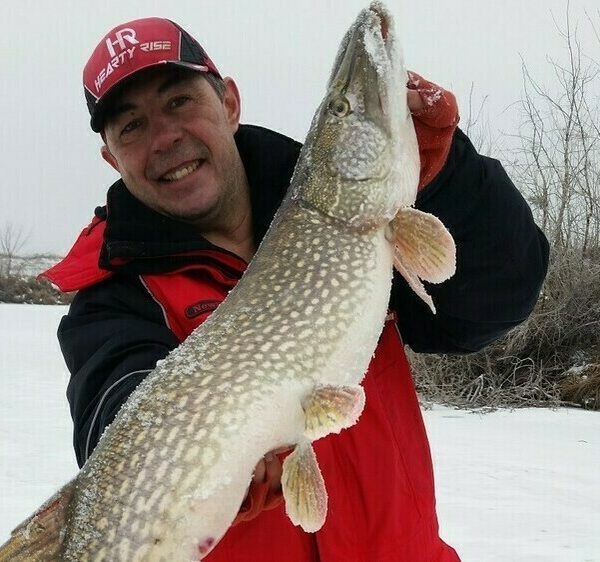 Tip Ups – американські жерлиці