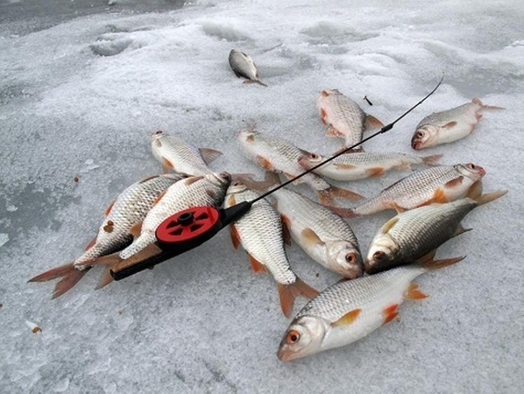 Зображення Лютневий товстий лід