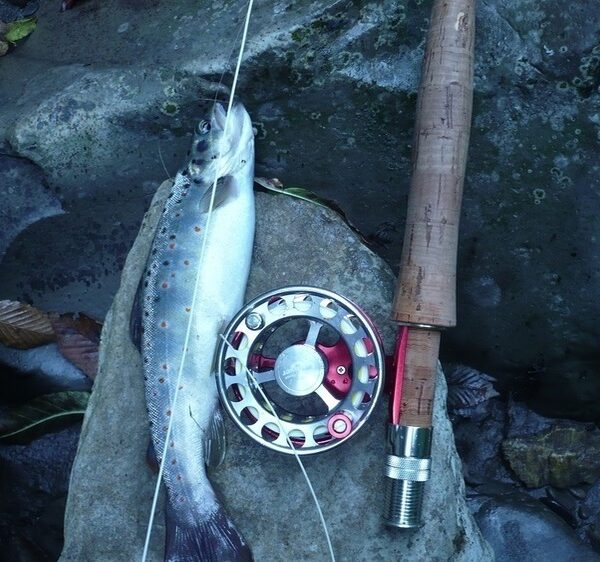 Сніг, нахлист і струмкова форель