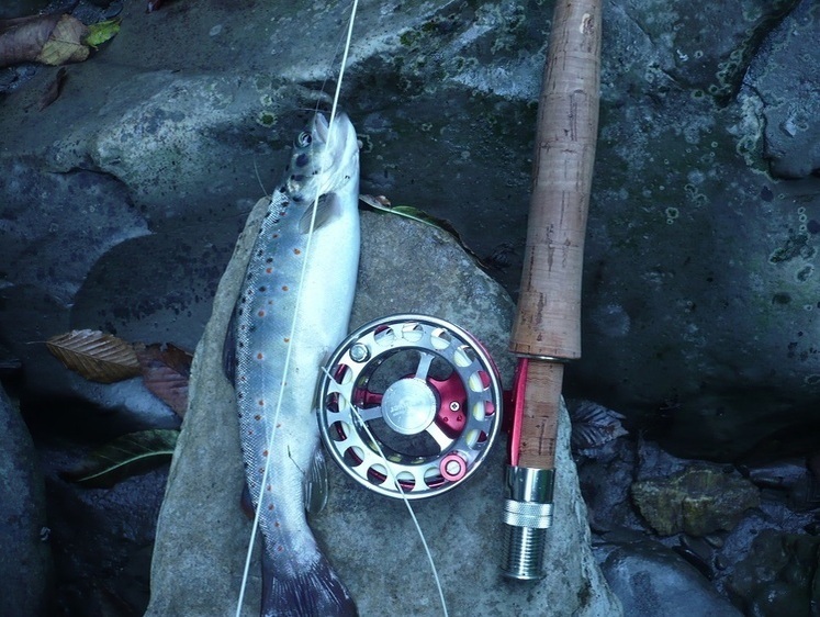 Сніг, нахлист і струмкова форель