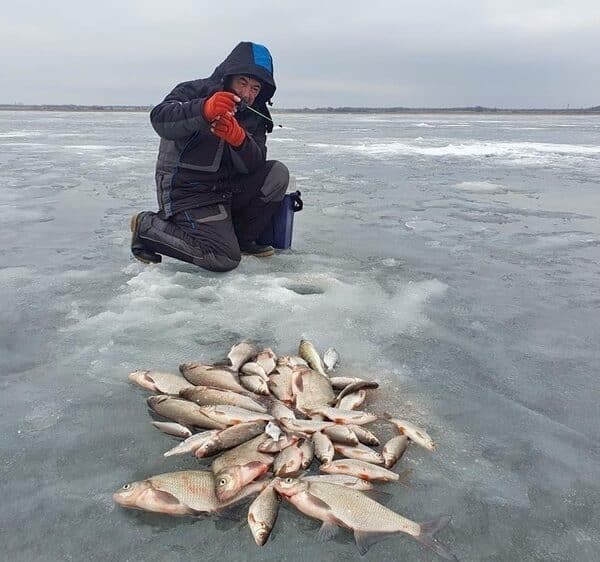 Новини з водойм Волгоградської області