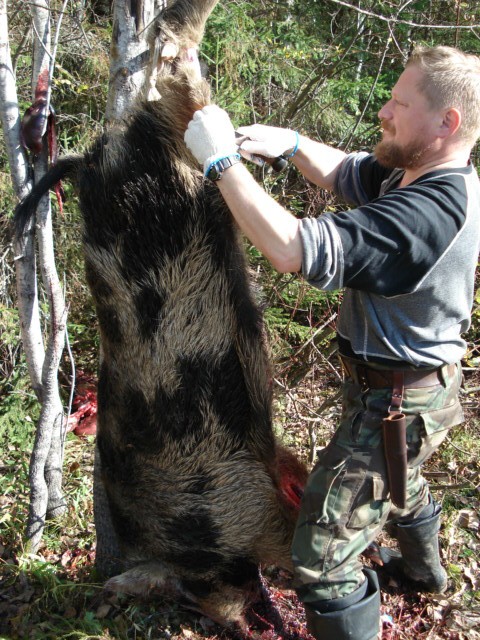 Полювання у СРСР. Як воно було. Емоції та спогади