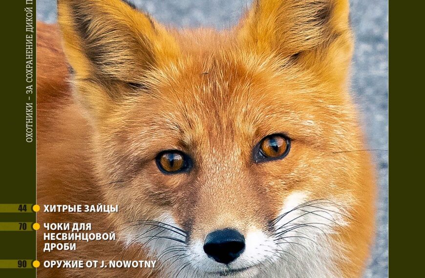 Мисливський світ по-жіночому. «Російський мисливський журнал», №3 березень 2026