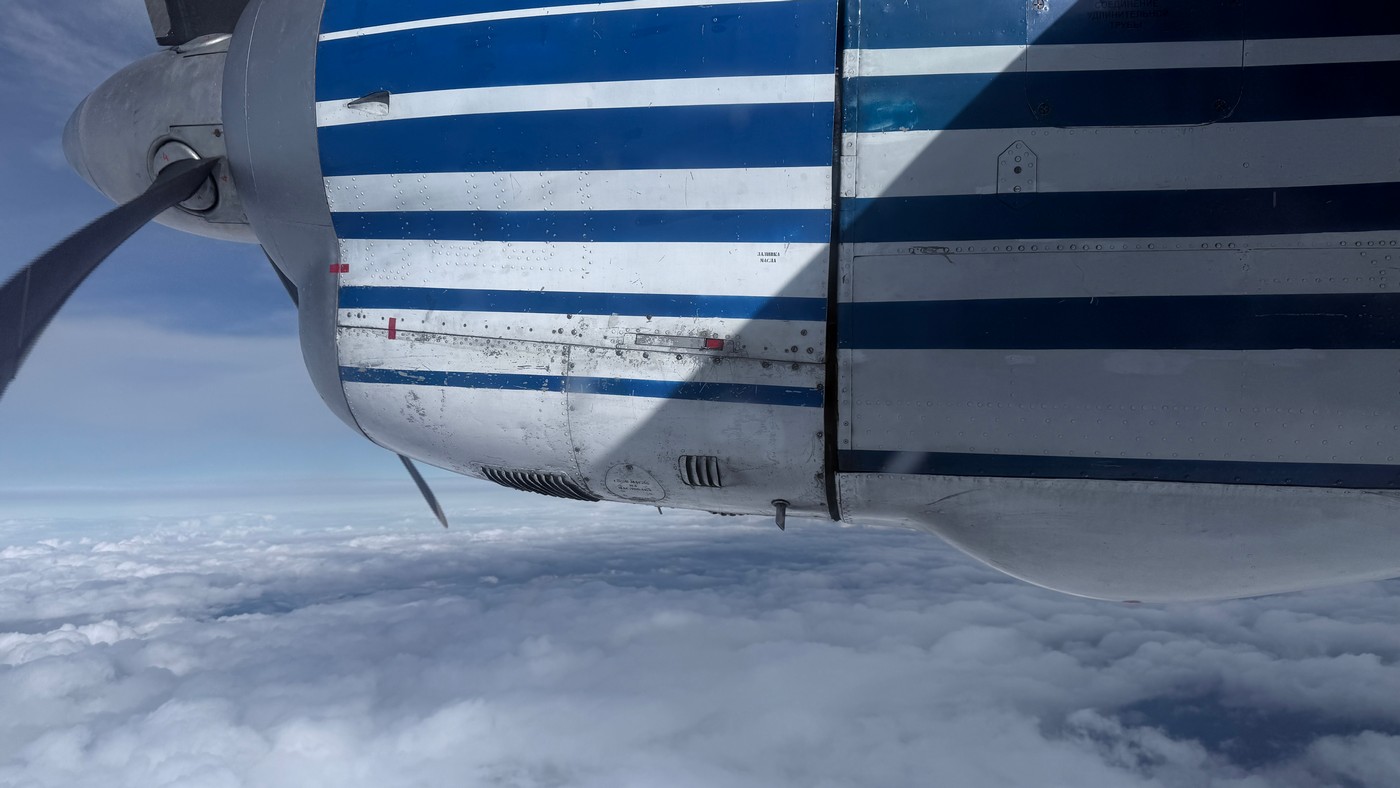 За Полярним колом на хараулахського сніжного барана