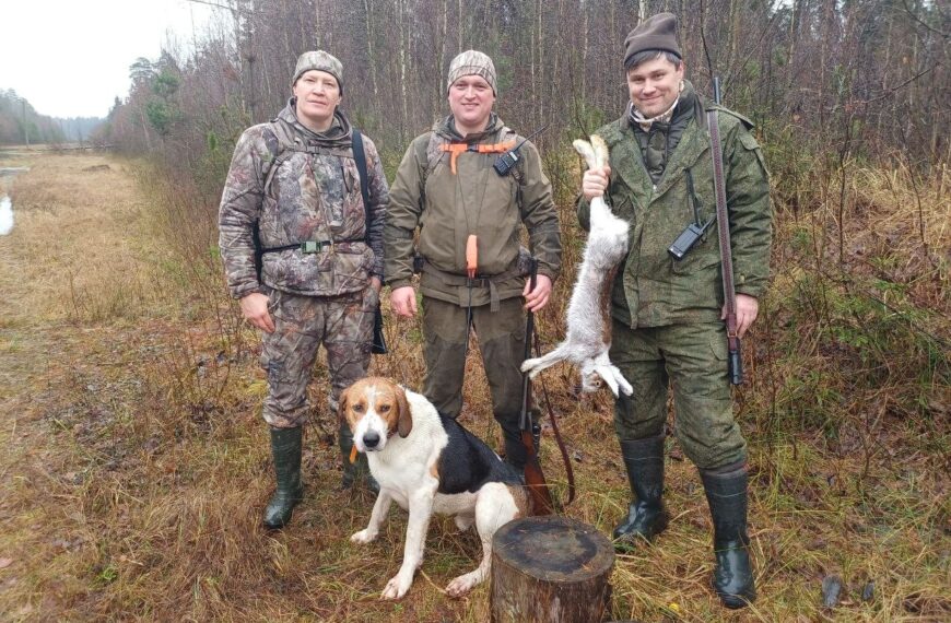 Заячі витівки