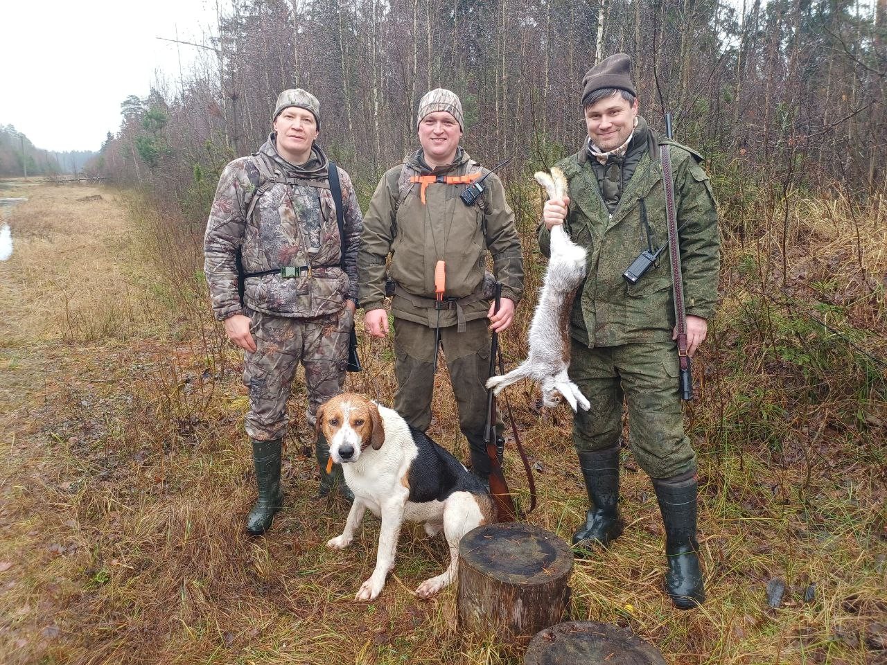 Заячі витівки