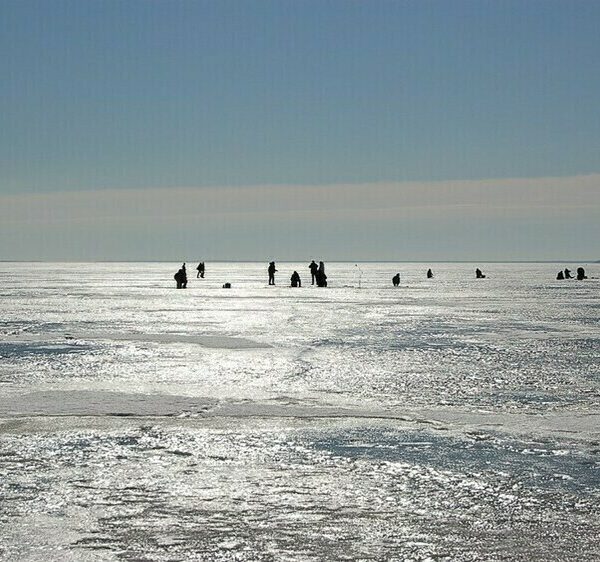 Деякі особливості лову ляща на перебігу