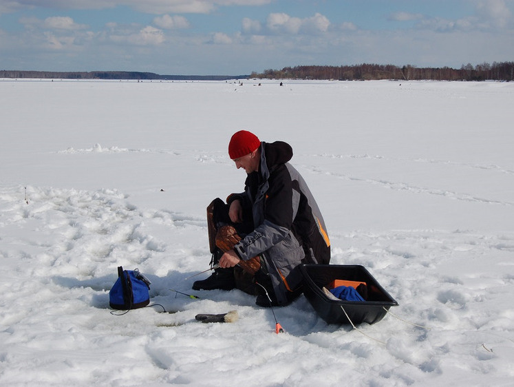 У пошуках риби, що клює.