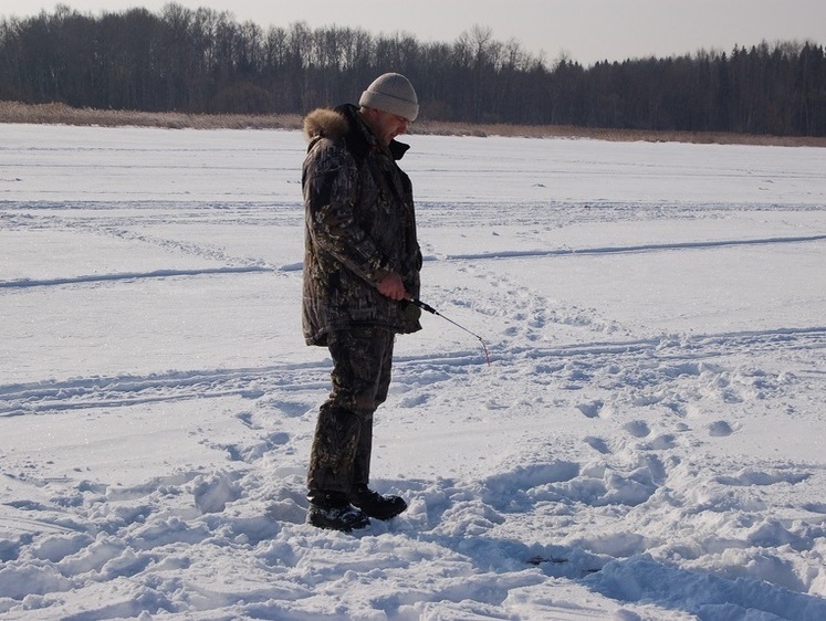 За окунем з балансиром у глугосім'ї