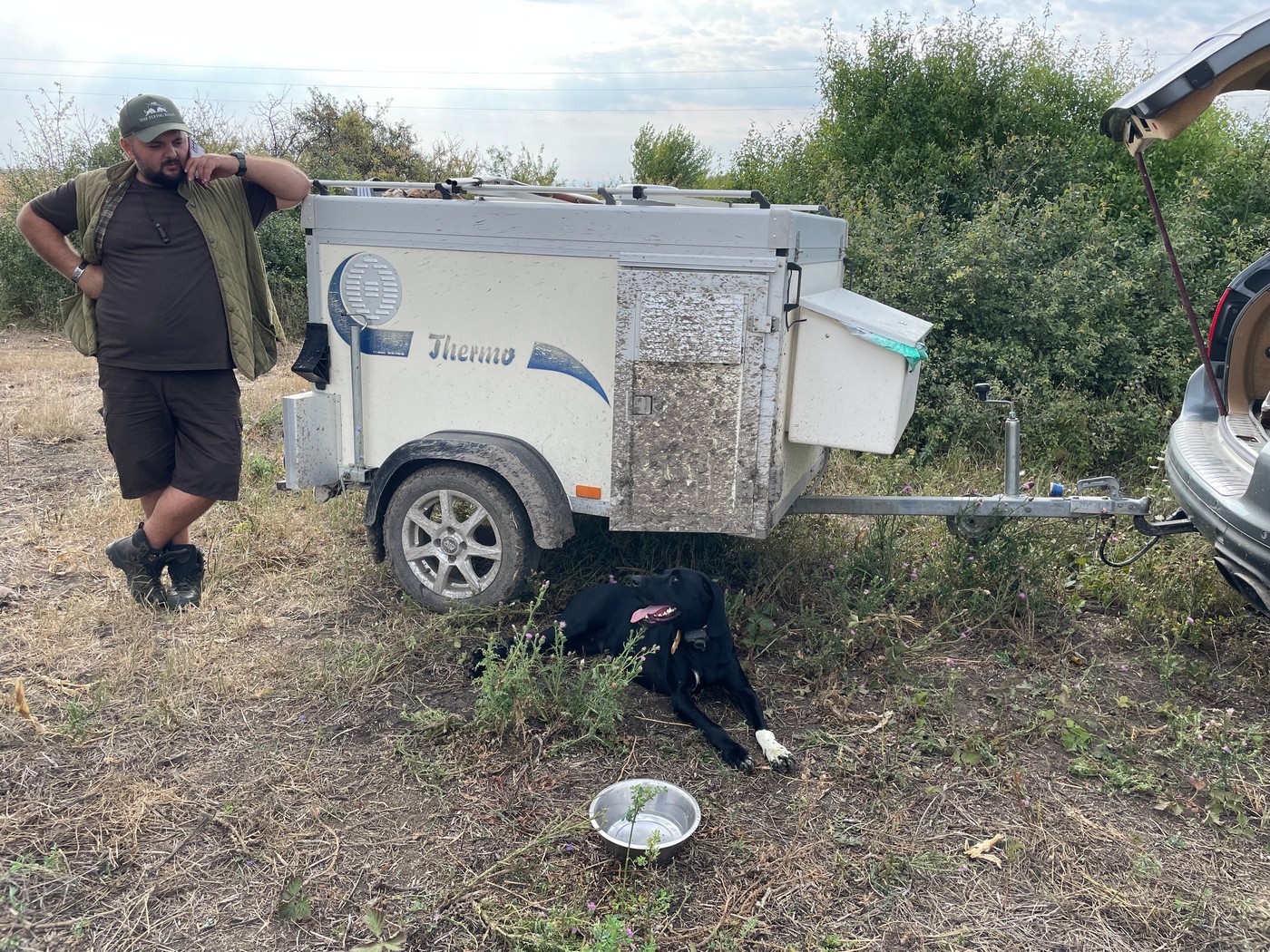 Бойова нічия, або Чим румунський перепіл відрізняється від болгарського