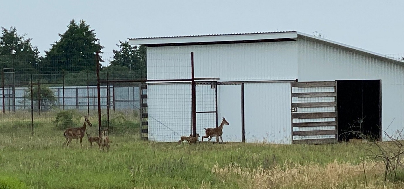 Про перспективи співробітництва. Як допомагає Клубу гірських мисливців ФБГУ ФНІЦ «Полювання»