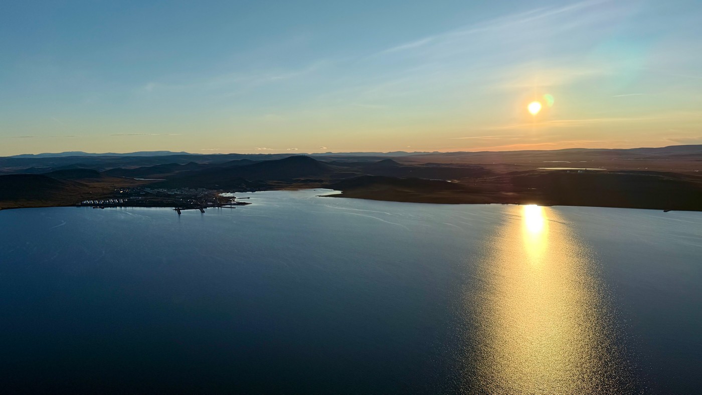 За Полярним колом на хараулахського сніжного барана