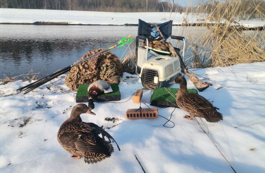З підсадною на початку сезону