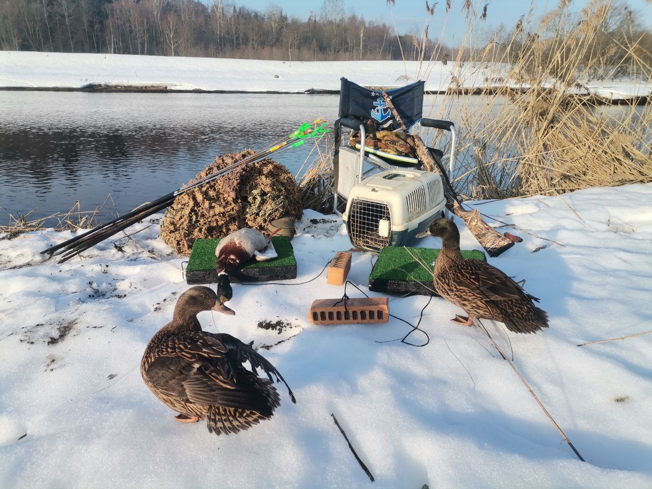 З підсадною на початку сезону