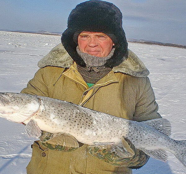 Вести від рибалок з Амура