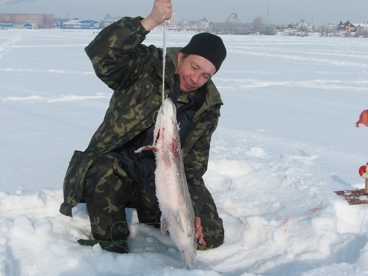 Час ловити щуку та купатися