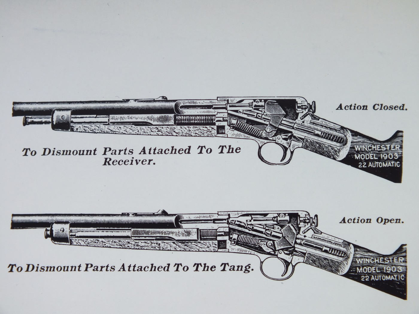 Народжені для небуття. Про карабіни Winchester Model 1903 і 1907