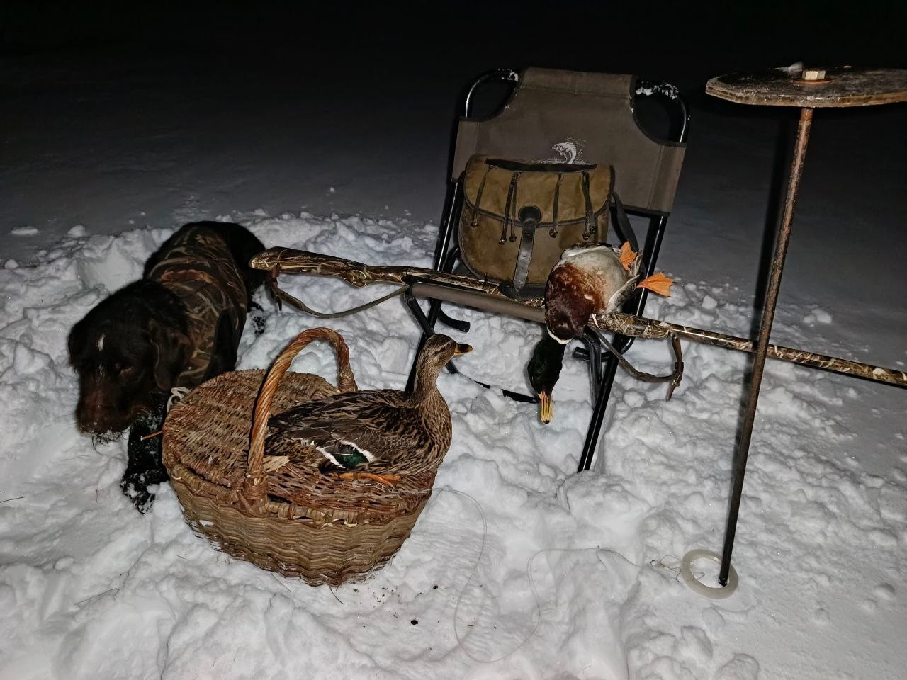 З підсадною на початку сезону
