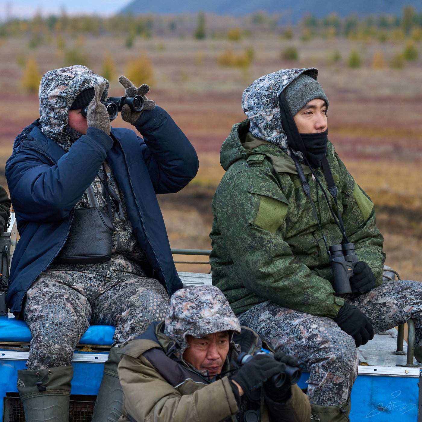 За Полярним колом на хараулахського сніжного барана