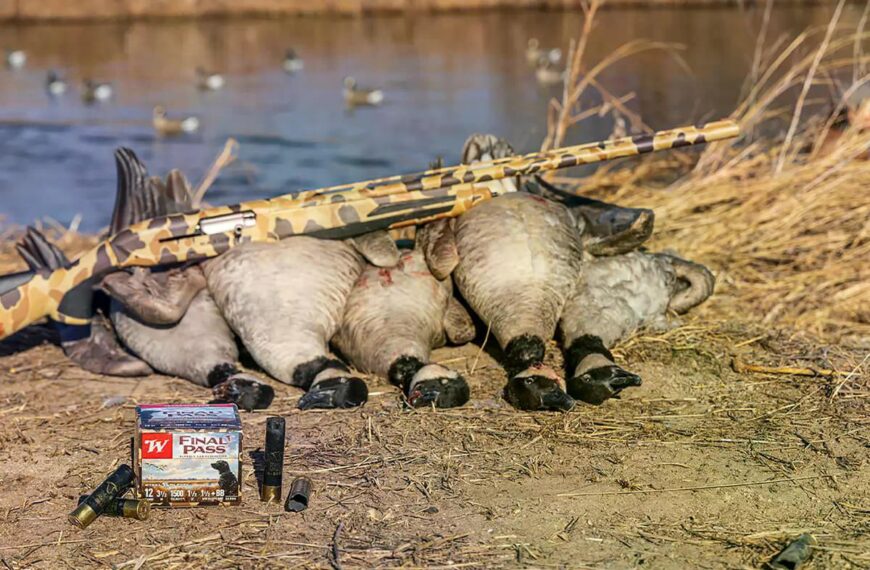 Свинець, сталь, вольфрам.