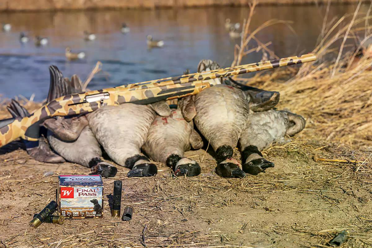 Свинець, сталь, вольфрам.