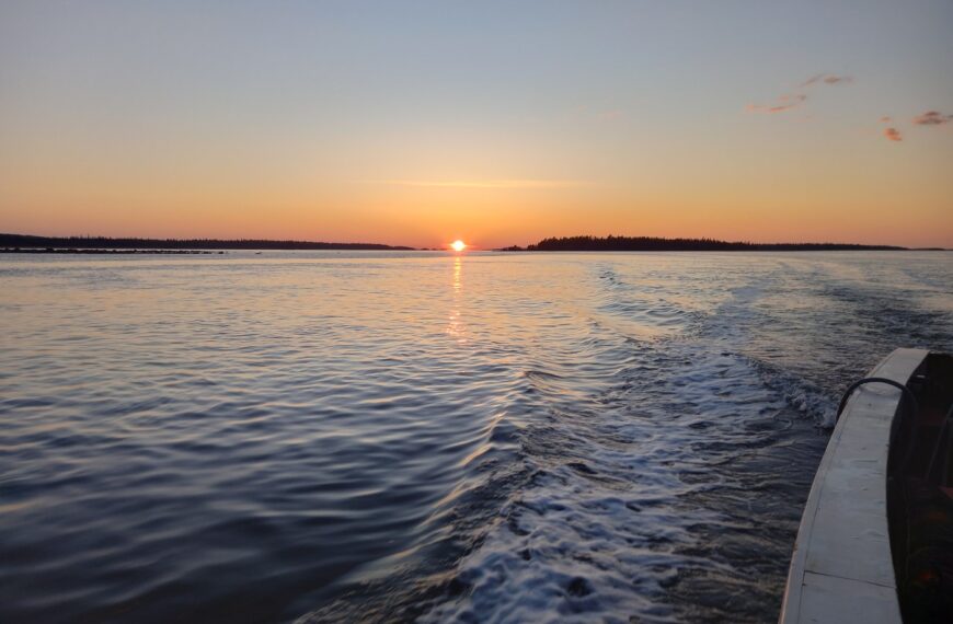 І море Біле, і щоки у казарки.