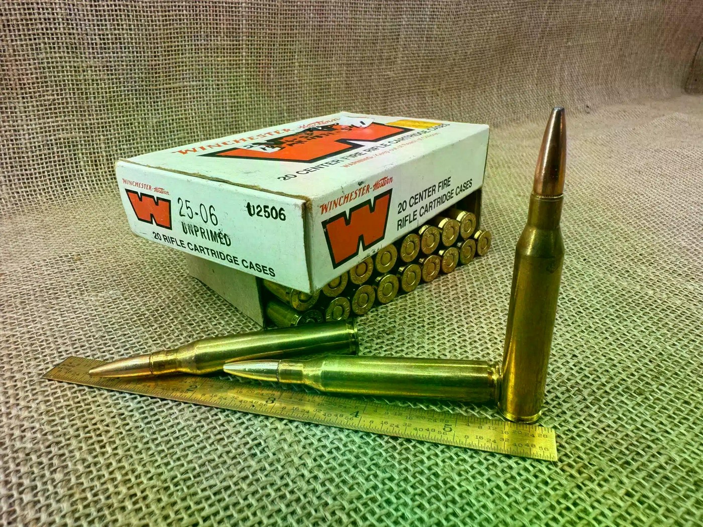 Патрони: дикі та домашні