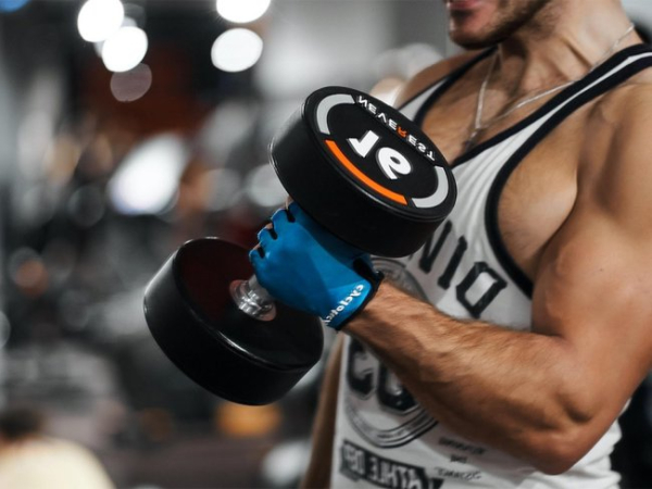 Анатомія м'язів рук