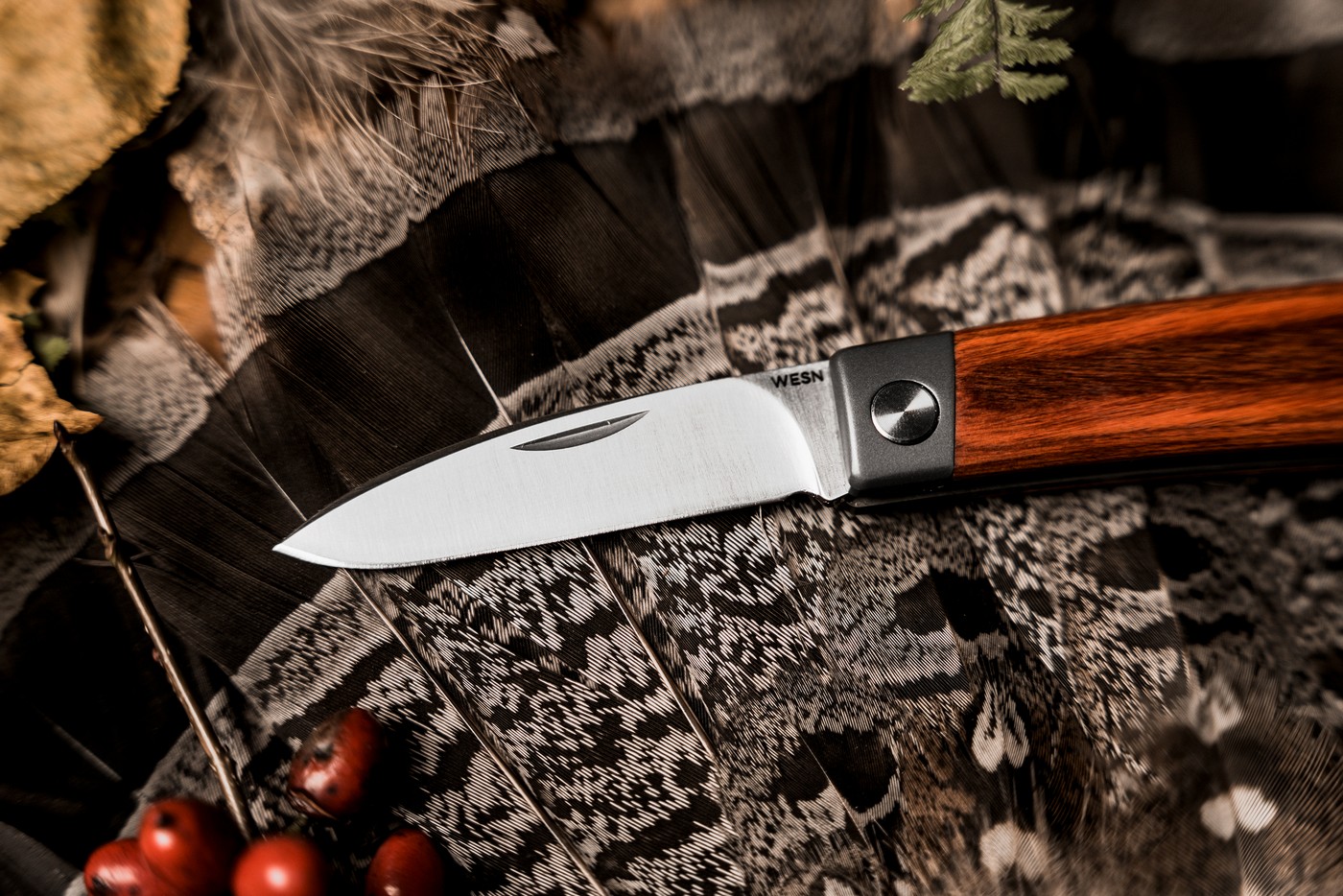 WESN – ніж, який завжди з тобою