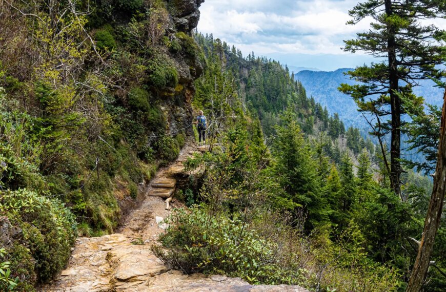 Чому стежка до печери Алум у Великих Димчастих горах така небезпечна?