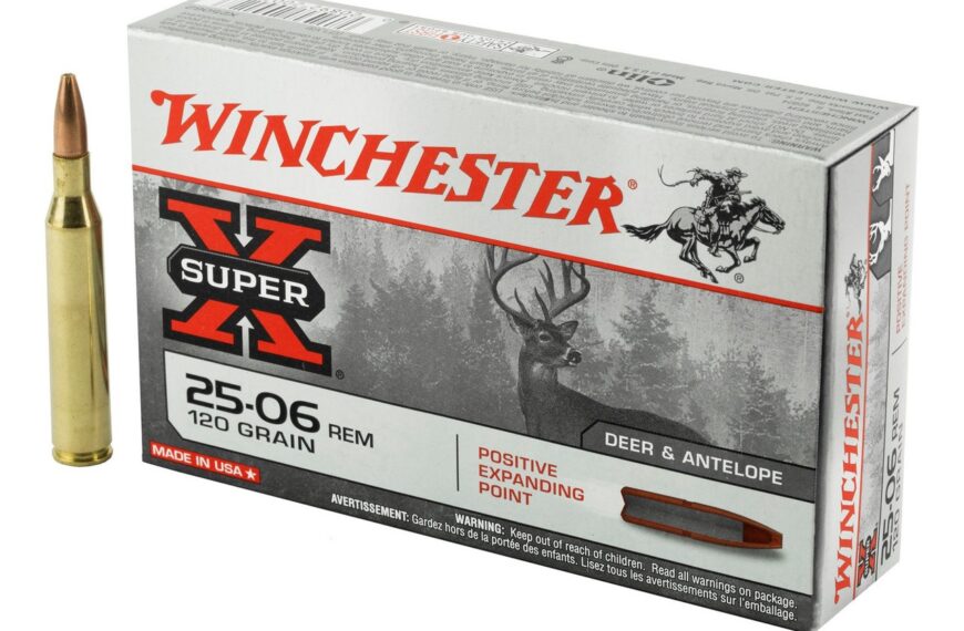 Патрони: дикі та домашні