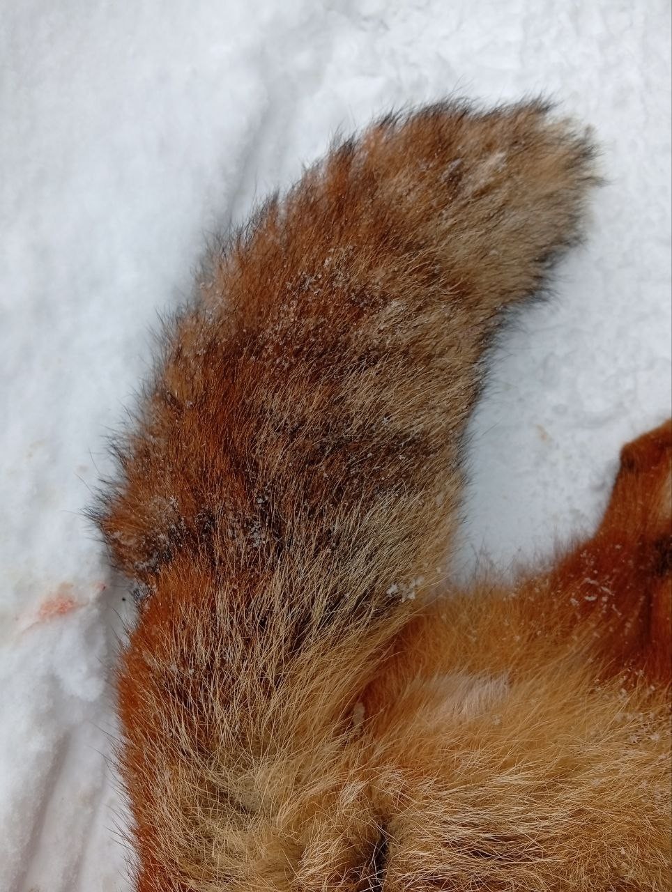 Спробуй такого зрозумій