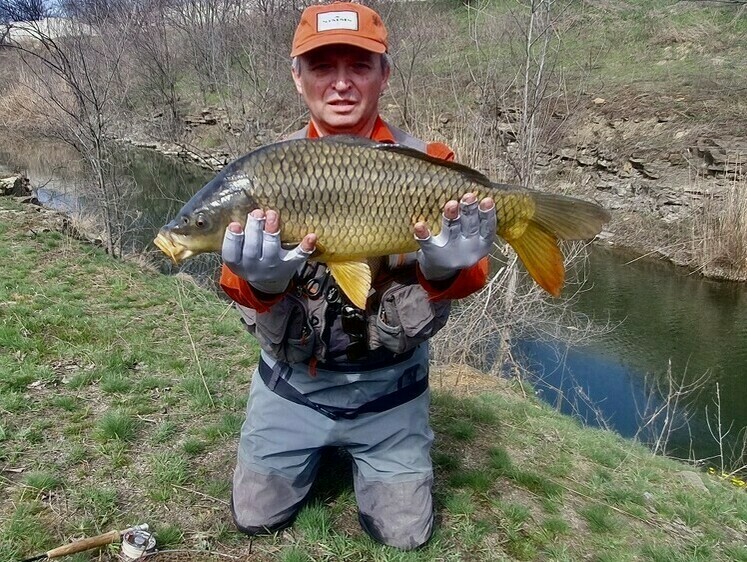 Короп і нахлист