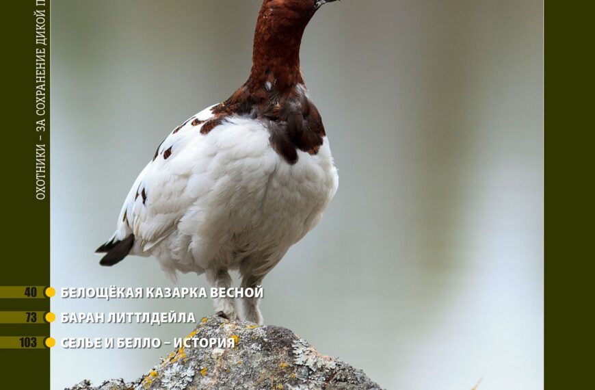 Все, окрім зброї. «Російський мисливський журнал», №4 квітень 2026