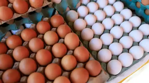 Чому бурі яйця коштують більше, та за що ви реально переплачуєте