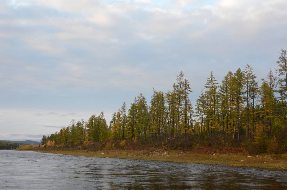 Будиночок у лісі: про що подумати заздалегідь