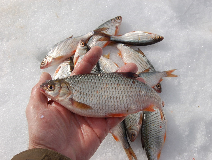 Закриття зимового сезону