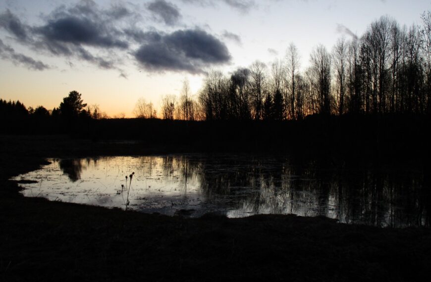 Весна на «Тартузі»