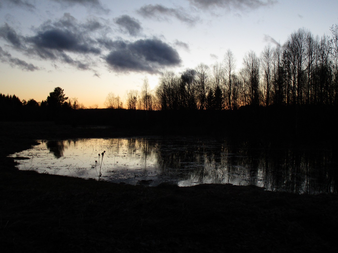 Весна на «Тартузі»