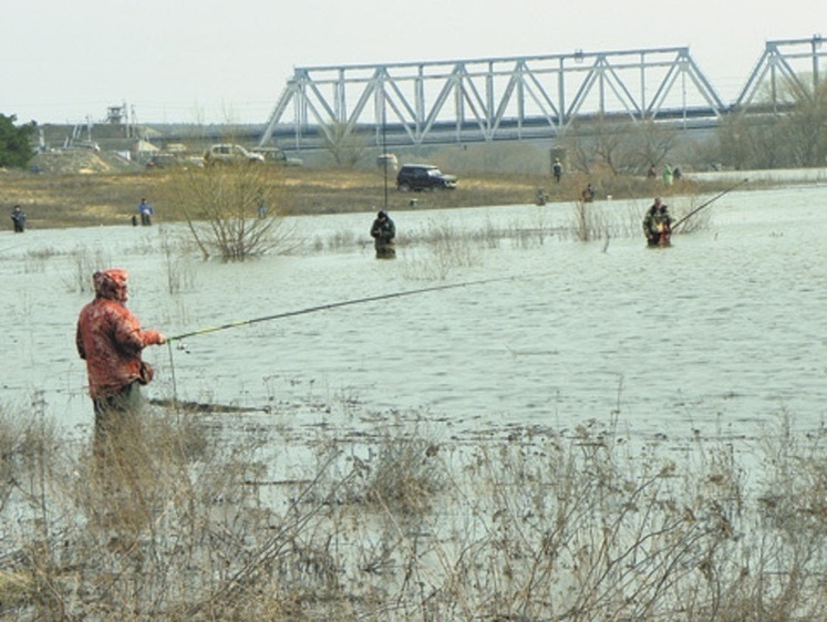 Лов у каламутній воді